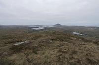 Cjp_2017-04-06_075552.jpg