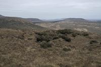Cjp_2017-04-06_080300.jpg
