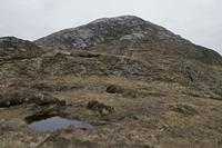 Cjp_2017-04-06_080408.jpg
