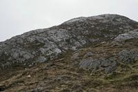 Cjp_2017-04-06_080652.jpg