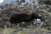 Cjp_2017-04-06_081012.jpg