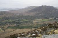 Cjp_2017-04-06_081742.jpg