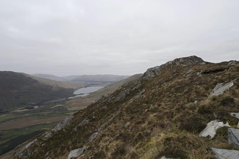 Cjp_2017-04-06_082008.jpg