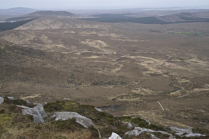 Cjp_2017-04-06_082056.jpg