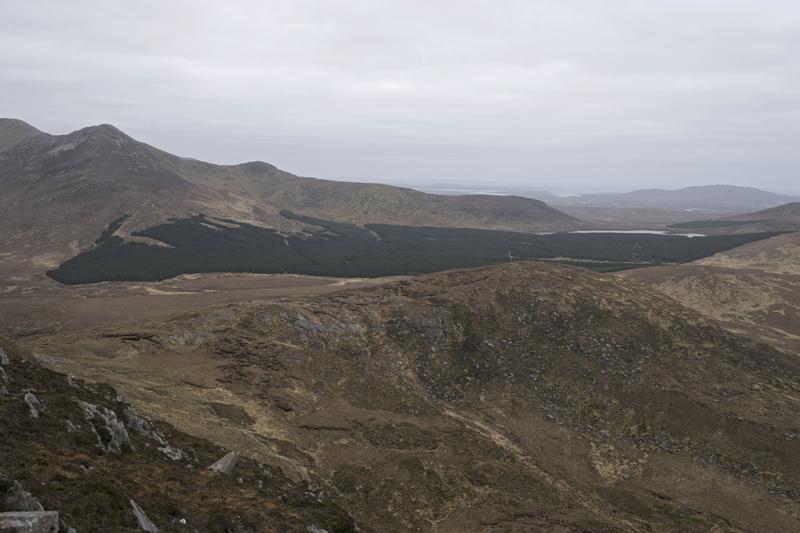Cjp_2017-04-06_082218.jpg