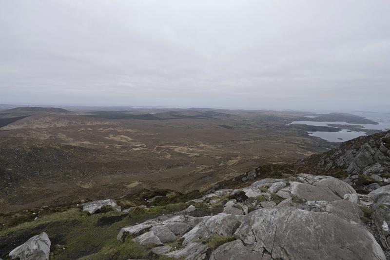 Cjp_2017-04-06_082810.jpg