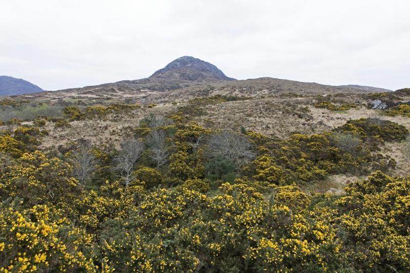Cjp_2017-04-06_092946.jpg