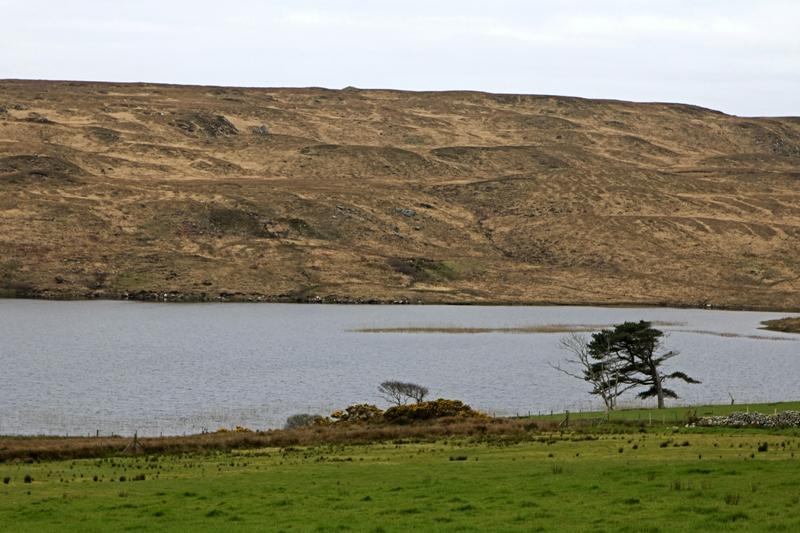 Cjp_2017-04-06_095324.jpg