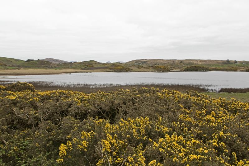 Cjp_2017-04-06_095838.jpg