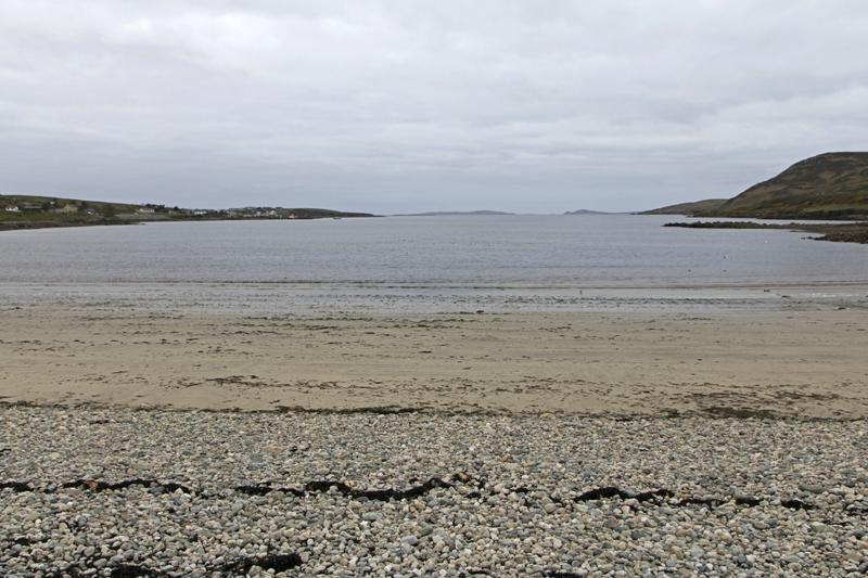 Cjp_2017-04-06_095852.jpg