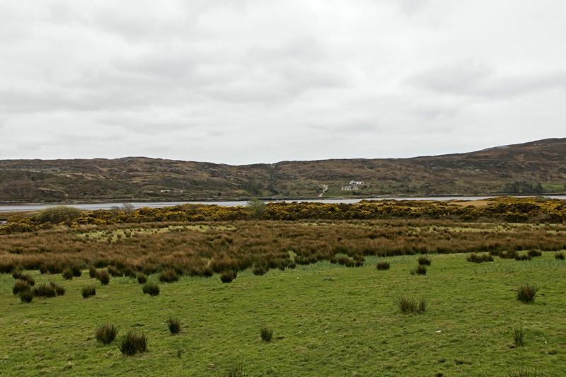 Cjp_2017-04-06_123950.jpg