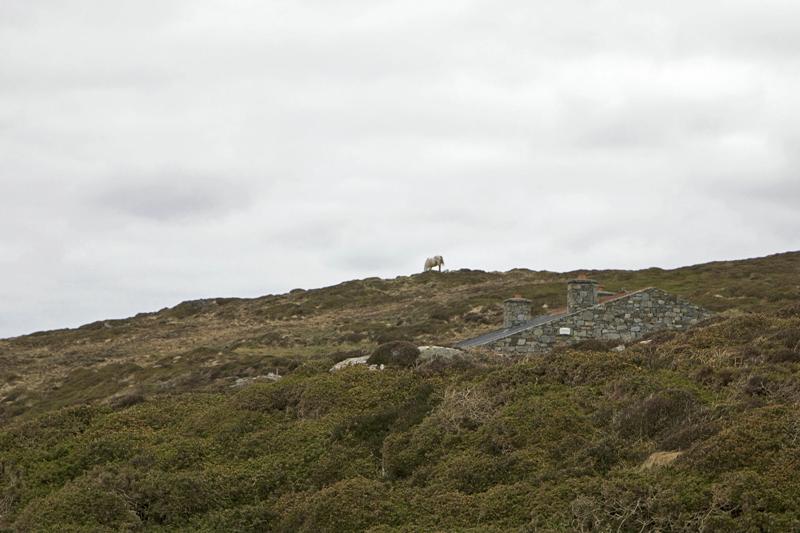 Cjp_2017-04-06_130234.jpg
