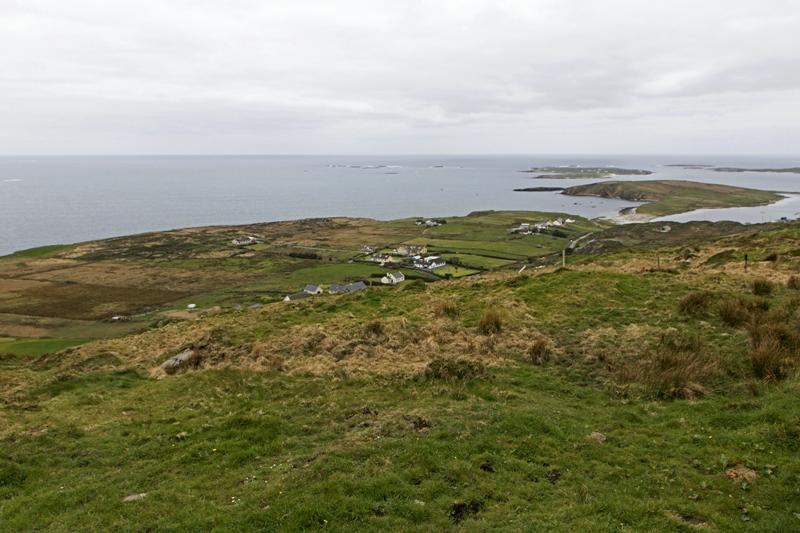 Cjp_2017-04-06_130256.jpg