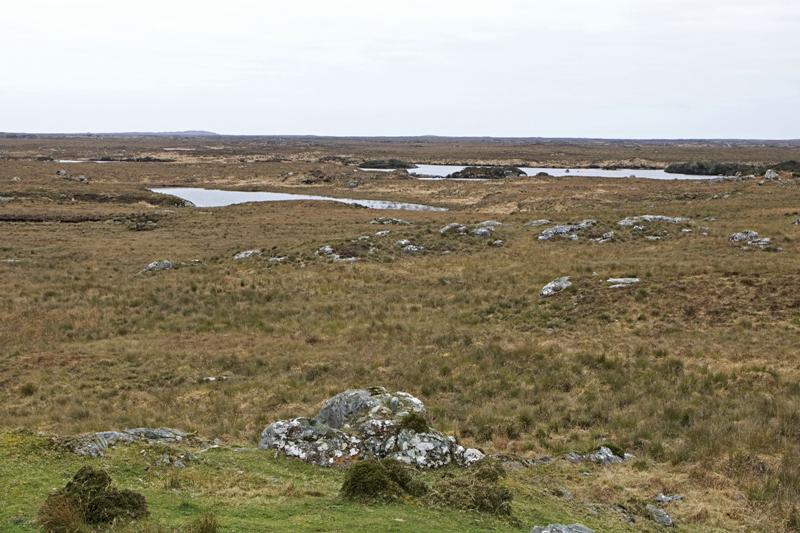 Cjp_2017-04-06_134030.jpg