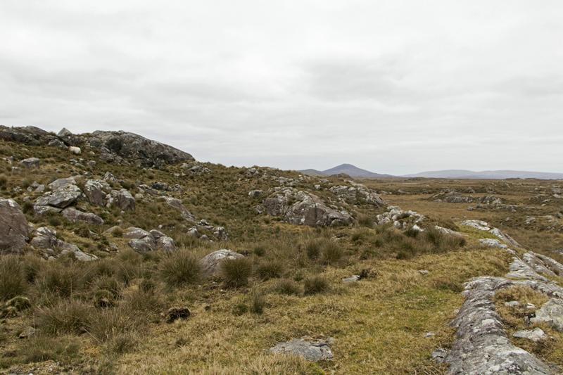 Cjp_2017-04-06_134046.jpg