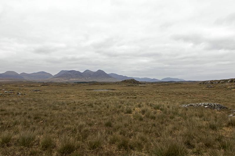 Cjp_2017-04-06_134702.jpg