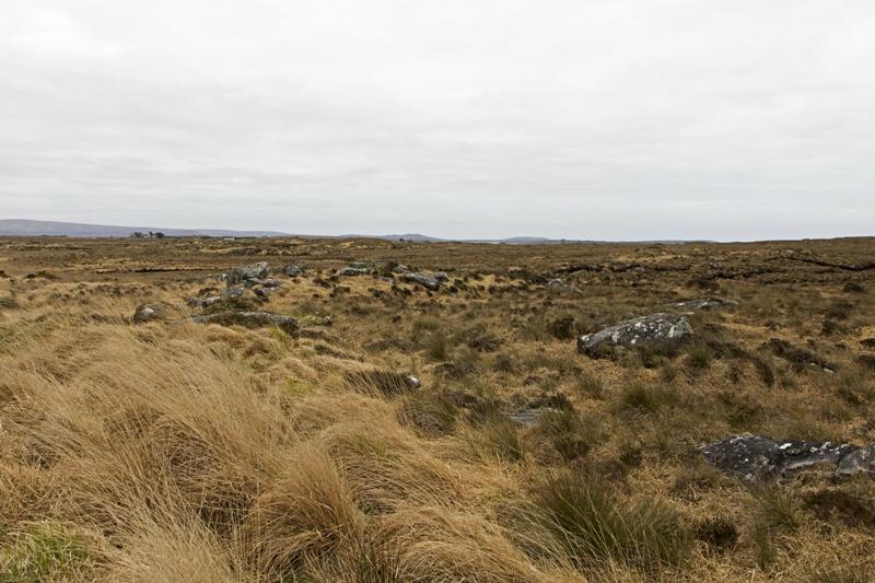 Cjp_2017-04-06_135016.jpg