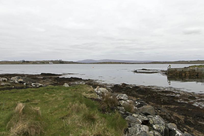 Cjp_2017-04-06_142426.jpg