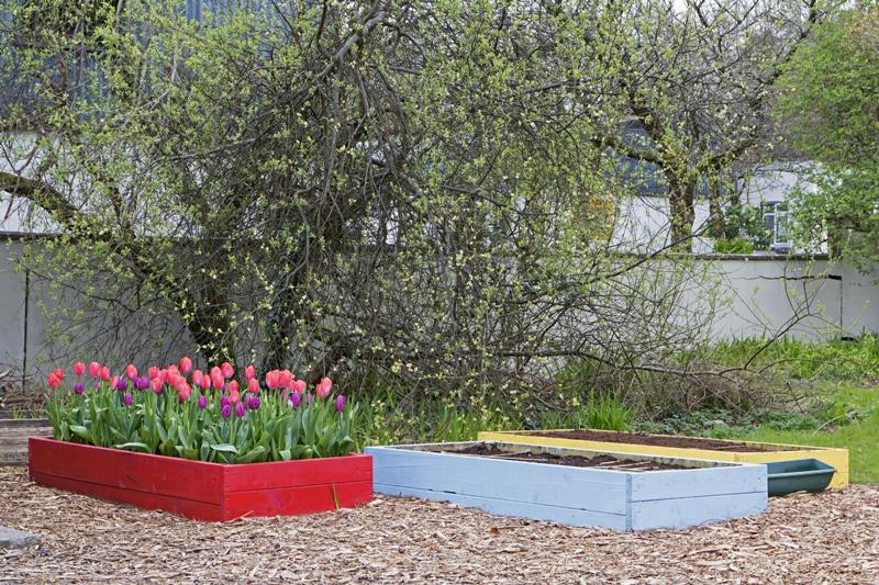 Cjp_2017-04-06_142600.jpg