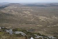 Cjp_2017-04-06_082056.jpg