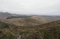Cjp_2017-04-06_082516.jpg