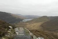 Cjp_2017-04-06_083516_2.jpg