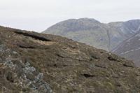 Cjp_2017-04-06_084252.jpg