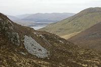 Cjp_2017-04-06_084512.jpg