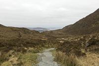 Cjp_2017-04-06_085046.jpg