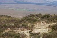 Cjp_2017-04-06_085916.jpg