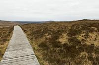 Cjp_2017-04-06_090048.jpg