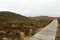 Cjp_2017-04-06_090108.jpg