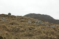 Cjp_2017-04-06_091436.jpg
