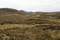 Cjp_2017-04-06_091606.jpg