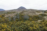 Cjp_2017-04-06_092946.jpg
