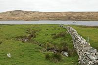 Cjp_2017-04-06_095316.jpg