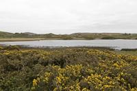 Cjp_2017-04-06_095838.jpg
