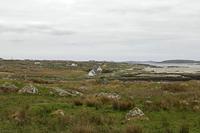 Cjp_2017-04-06_121924.jpg