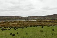 Cjp_2017-04-06_123950.jpg