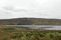 Cjp_2017-04-06_124028.jpg