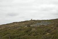 Cjp_2017-04-06_130234.jpg