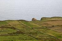 Cjp_2017-04-06_130304.jpg