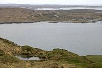 Cjp_2017-04-06_130342.jpg