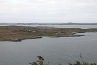 Cjp_2017-04-06_130640.jpg