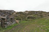 Cjp_2017-04-06_130704.jpg
