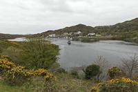 Cjp_2017-04-06_131820.jpg