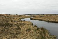 Cjp_2017-04-06_132852.jpg