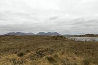 Cjp_2017-04-06_132948.jpg