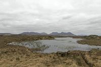 Cjp_2017-04-06_133008.jpg