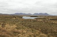 Cjp_2017-04-06_133436.jpg